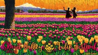 Skagit Valley Tulip Festival 2022  RoozenGaarde  Mount Vernon Washington  USA  Full Tour [upl. by Anawot]