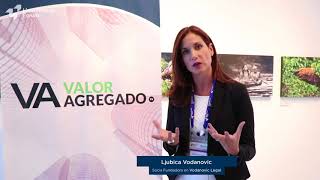 Ljubica Vodanovic La regulación de las Fintech [upl. by Inig763]