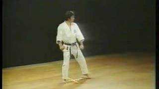 Heian Nidan  Shotokan Karate [upl. by Lierbag]