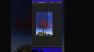 Editing Autumn Tree in Affinity Photo [upl. by Emelun30]