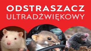 Odstraszacz na kuny myszy i krety  Ultradźwięki [upl. by Gustaf]