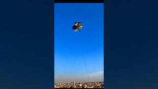 Pindi basant 2024kite patang kiteflying support kitefestival foryou yt shorts [upl. by Casie]