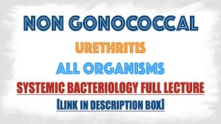 Non Gonococcal Urethritis  All the causative agents Bacteria Viruses fungi Parasites [upl. by Glass]