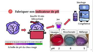 Les indicateurs de pH [upl. by Alegre899]