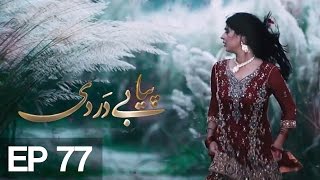 Piya Be Dardi  Episode 77  A Plus C3T1 [upl. by Jedlicka]