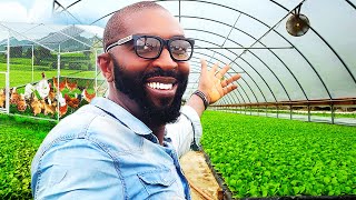 He Left Europe To Become A Farmer In Nigeria [upl. by Carder]