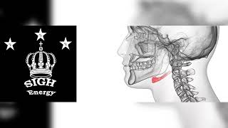 Hyoid bone Healing and Regeneration EXTREMELY POWERFULEnergetically Programmed [upl. by Yslek]