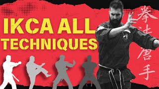 IKCA Chinese Kenpo Karate Techniques [upl. by Yekcir]