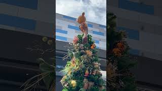 The 2024 Christmas Tree Stroll from Disney Springs  The Lion King disneysprings disneyholidays [upl. by Olegnaed678]