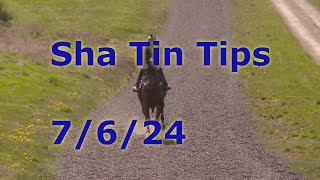 🏇Hong Kong Horse Racing Tips 762024  Sha Tin [upl. by Fauman970]