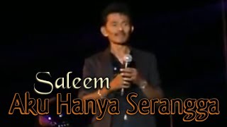 SALEEM  Aku Hanya Serangga  Video Lirik [upl. by Ylus759]