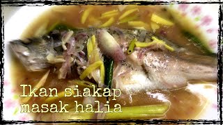 Ikan siakap masak halia  ringkas mudah dan sedap [upl. by Ellicul]