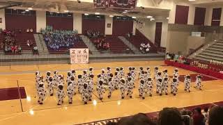 Dance Team Performs Routine Dressed as Cows  985449 [upl. by Naraa871]