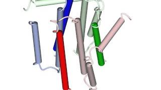 Integral membrane diacylglycerol kinase [upl. by Henrik]