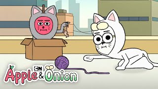 Silliest Moments Compilation  Apple and Onion  Cartoon Network [upl. by Twyla]