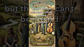 Backwater Boys  Hillbilly Rizzler aimusic brainrot [upl. by Anneh221]