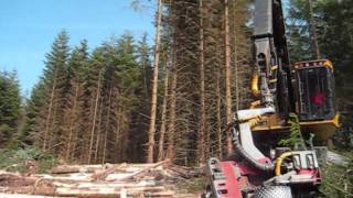 Tigercat Harvester cutting spruce [upl. by Gavette457]