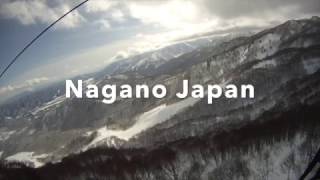 JAPAN TREE SKIING TSUGAIKE NAGANO JAPAN [upl. by Nimar]