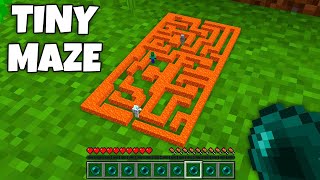 I found a TINY LAVA MAZE in Minecraft  Whats INSIDE the SMALLEST MAZE [upl. by Issie239]