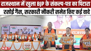 BJP Ghoshna Patra for Rajasthan बीजेपी ने जारी किया Sankalp Patra जानें क्याक्या किया वादा  NBT [upl. by Ademordna]