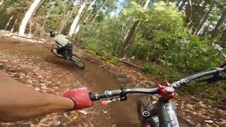 Demo Forest Reopening Day Full Flow Trail 101023 [upl. by Garwin]