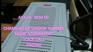 Avaya BCM 50 Programming [upl. by Riobard120]