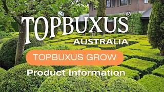 Topbuxus® Grow Information Guide [upl. by Sallie]