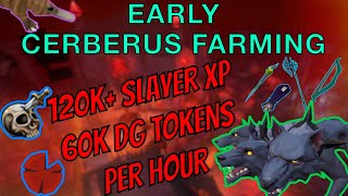 Cerberus Farming  IronmanGIMLow Level Friendly INSANE SLAYER  DG Method [upl. by Eelir993]