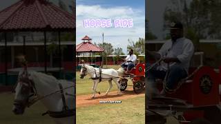 💥 திருச்சில இப்படி ஒரு entertainment ஆன ஸ்பாட் ஆ 😍 shorts ytshorts animals farm [upl. by Rellia]