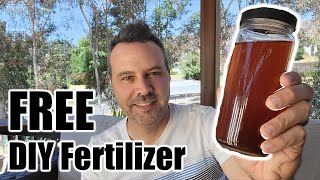 What I Use instead of Miracle Gro plus Free HomeMade Fertilizer [upl. by Eivi]