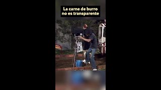 La carne de burro no es transparente Quico donramon lavecindaddelchavo [upl. by Britte]