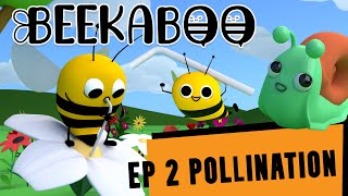 Pollination for Kids – BeeKaBoo Kids Songs amp Nursery Rhyme [upl. by Dynah]