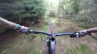 Dalby Forest Offpiste mtb trails [upl. by Suivart]