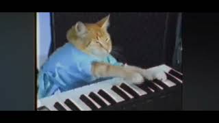 keyboard cat❤ jedag jedug moed [upl. by Ecnar]