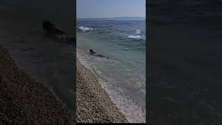 Makarska walk August Summer Croatia 2024 ASMR 4K HDR2024 croatia makarskariviera makarska beach [upl. by Hakceber110]