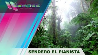 SENDERO EL PIANISTA [upl. by Carly694]