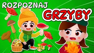 🍄 Kazio i TEST GRZYBIARZA  Grzybobranie dla dzieci  Rozpoznawanie grzybów 🍄 [upl. by Ansaev]