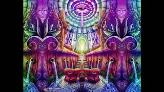 Terence Mckenna  DMT Is A Magical Tool The Stages Of DMT Experience What Do The Entities Convey [upl. by Tuttle830]