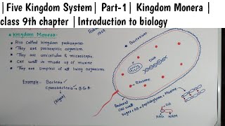 Five Kingdom SystemPart1 Kingdom Monera class 9th chapter Introduction to biology [upl. by Twila]