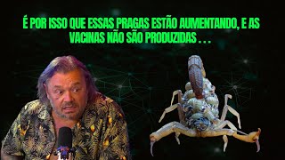 Richard Rasmussen e biólogo Henrique Doenças mortais e aumento de pragas animal bichoscuriosos [upl. by Retsevel]