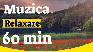 Muzica relaxare a mintii  60 minute de muzică pentru un somn relaxant  Muzica relaxanta [upl. by Yruy]