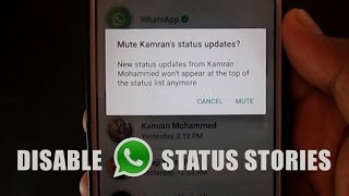 WhatsApp Status Stories How To Disable It [upl. by Byrle23]