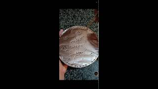 shamzavino Vlogs is live ODD ASMR  VERY SATISFYING FANTASTIC FOIL ASMR SOUND asmr trending foil [upl. by Aven]