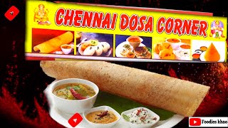 मालवीय नगर का famus डोसा चेन्नई डोसा कॉर्नर testy dosa centre  Delhi food  Indian food 2024 [upl. by Ynot]