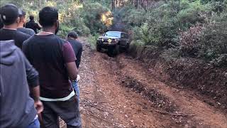 Toolangi Off Road blowhard track [upl. by Lipkin552]