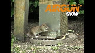 The Airgun Show – day and night ratting PLUS how to improve your airgun accuracy… [upl. by Alyehc899]