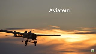 Aviateur  Véronique Jannot Paroles [upl. by Ycnahc]