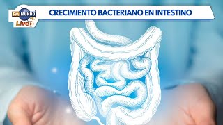 Sobrecrecimiento Bacteriano en el Intestino Delgado  El Mundo de Cabeza [upl. by Ycnan300]