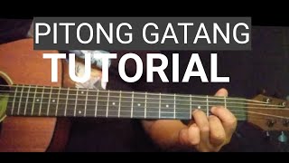 PITONG GATANG GUITAR CHORDS TUTORIAL AND LYRICS PITONGGATANG FREDPANOPIO [upl. by Annorah301]