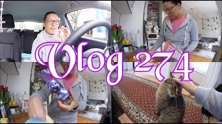 Pille nach 16 Jahren abgesetzt l Ostern l Vlog 274 [upl. by Quar]